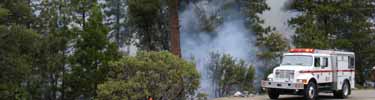 Engine 51 providing support on a prescribed fire